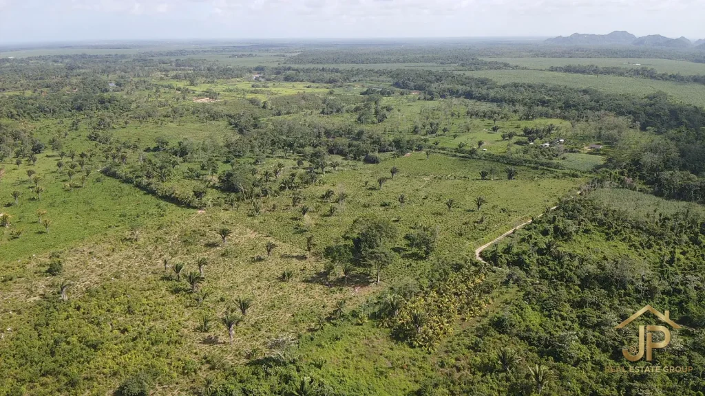 Belize ranch aerial showing grazing land - JP Real Estate Group