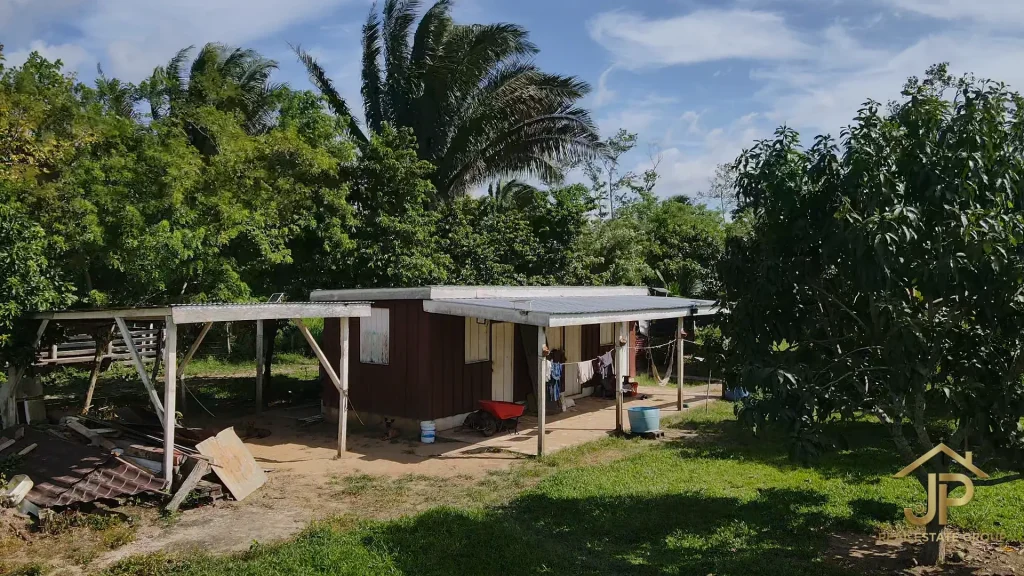 ranch residence surrounded by Belize fruit trees - JP Real Estate Group