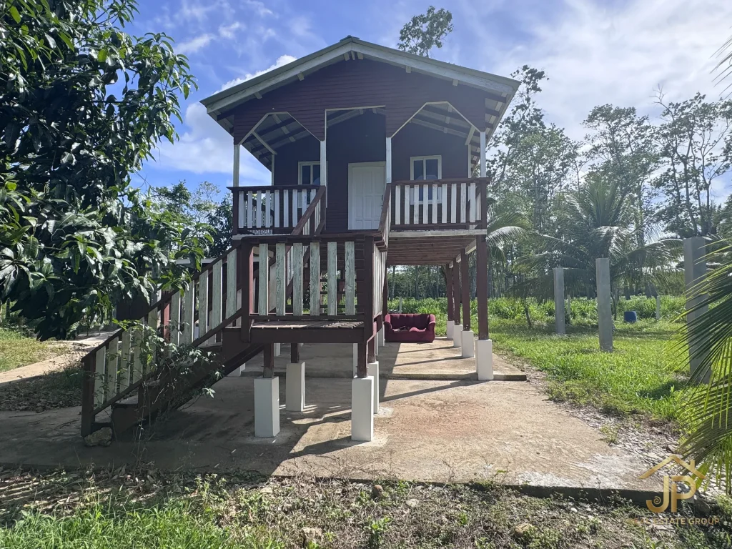 elevated wooden residence on Belize cattle farm - JP Real Estate Group