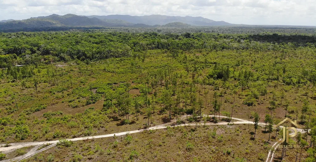 Drone view of the 25-acre Georgetown property and access road