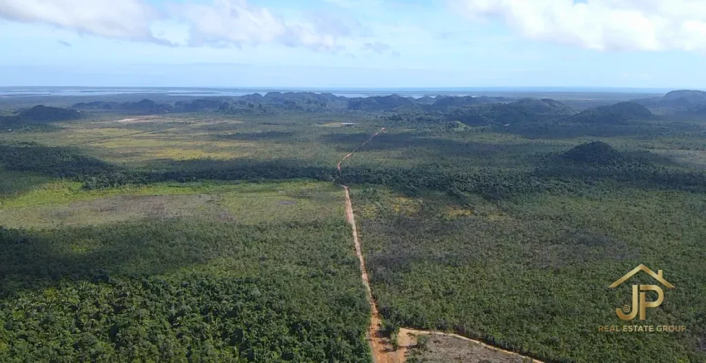 Wide aerial view of savannah acreage and surrounding Southern Belize landscape