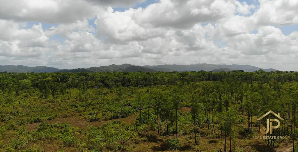 Savannah land with mountain views near Georgetown, Belize