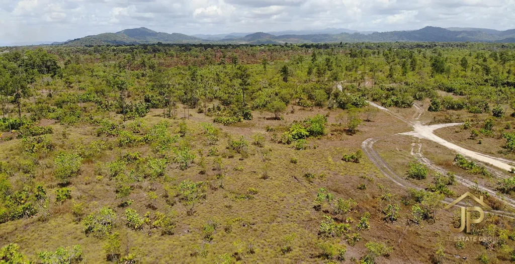 Access roads across the Georgetown savannah property