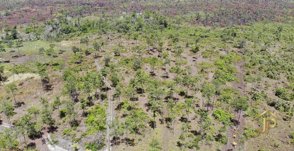 Overhead drone view of open savannah terrain in Georgetown, Stann Creek