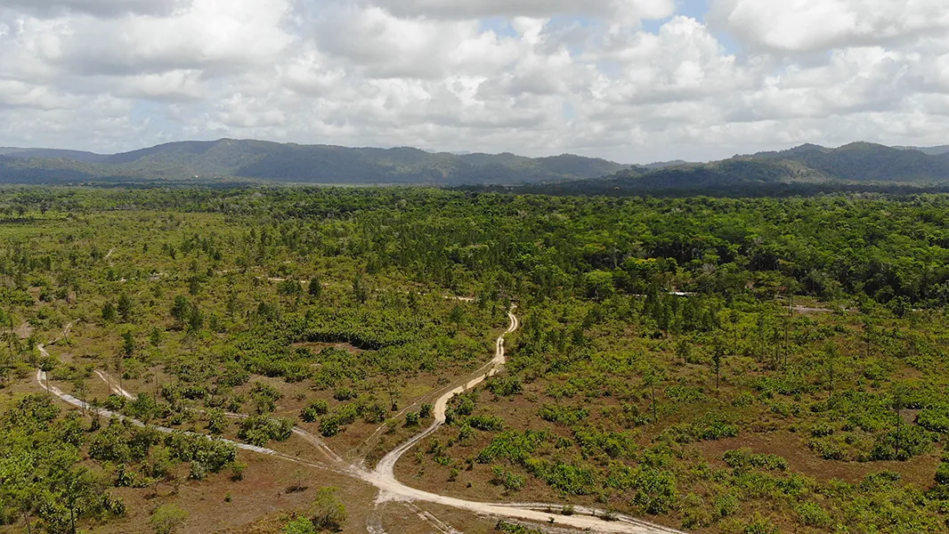 25 Acres of Pristine Savannah