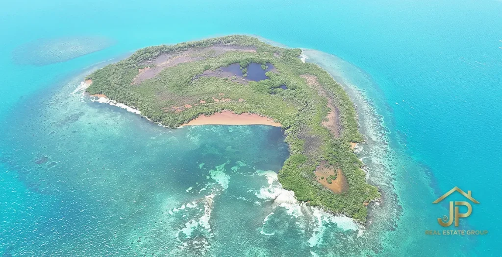 Top-down aerial view of the island's sandy cove and surrounding Caribbean waters