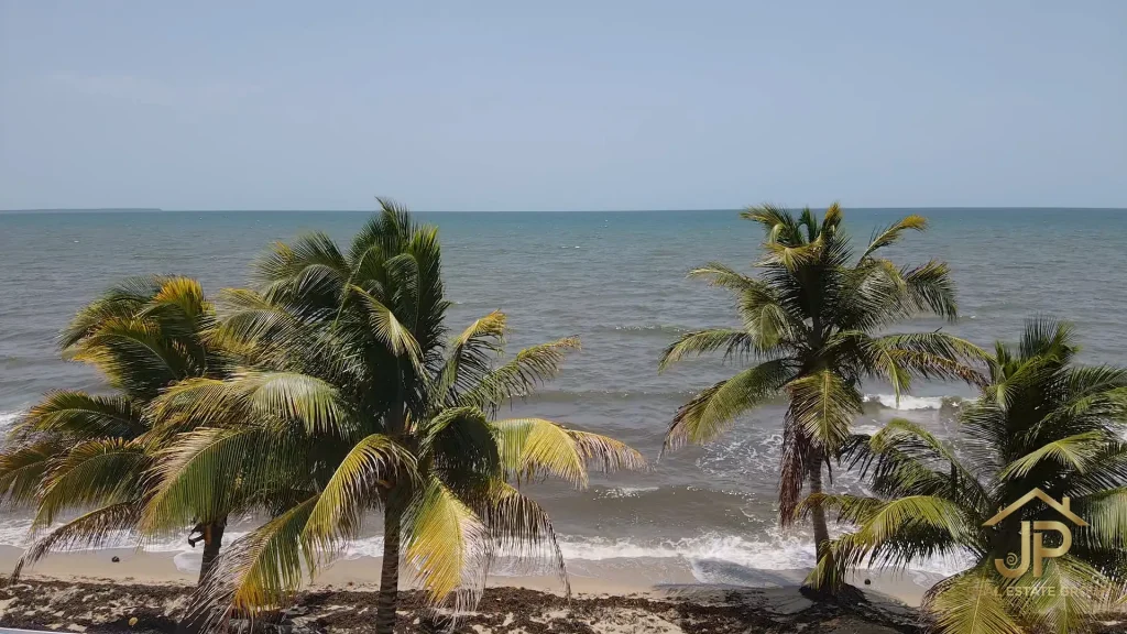 Caribbean shoreline and coconut palms at Mayacan beachfront home