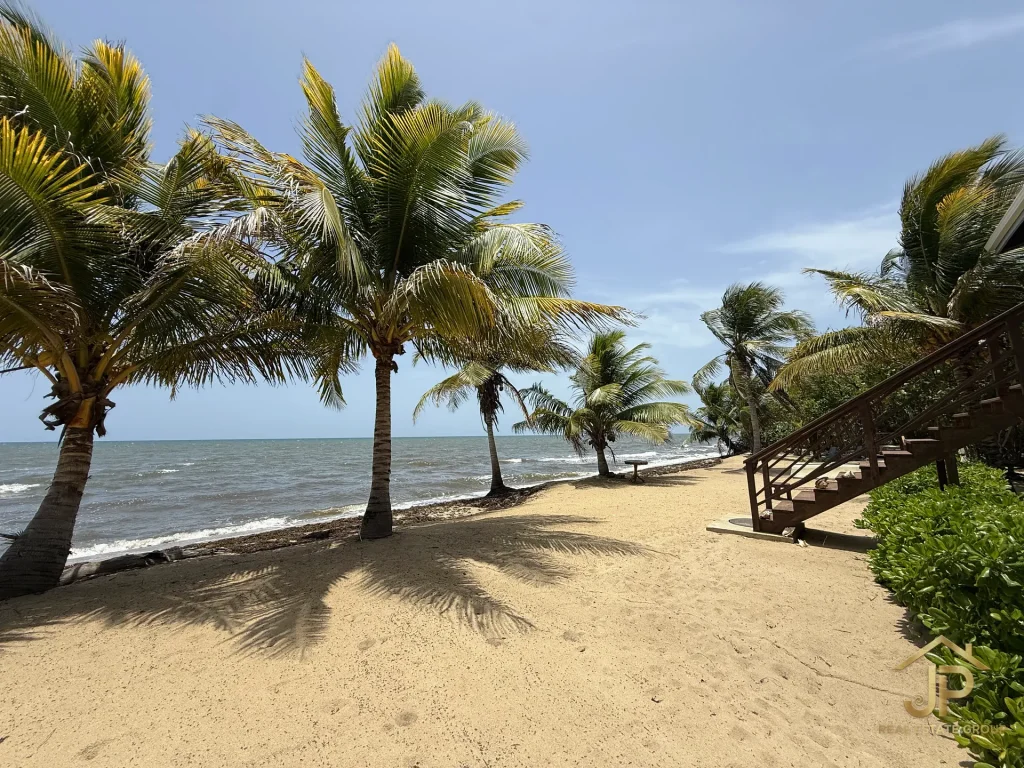 Sandy beachfront grounds with coconut palms beside the Mayacan home
