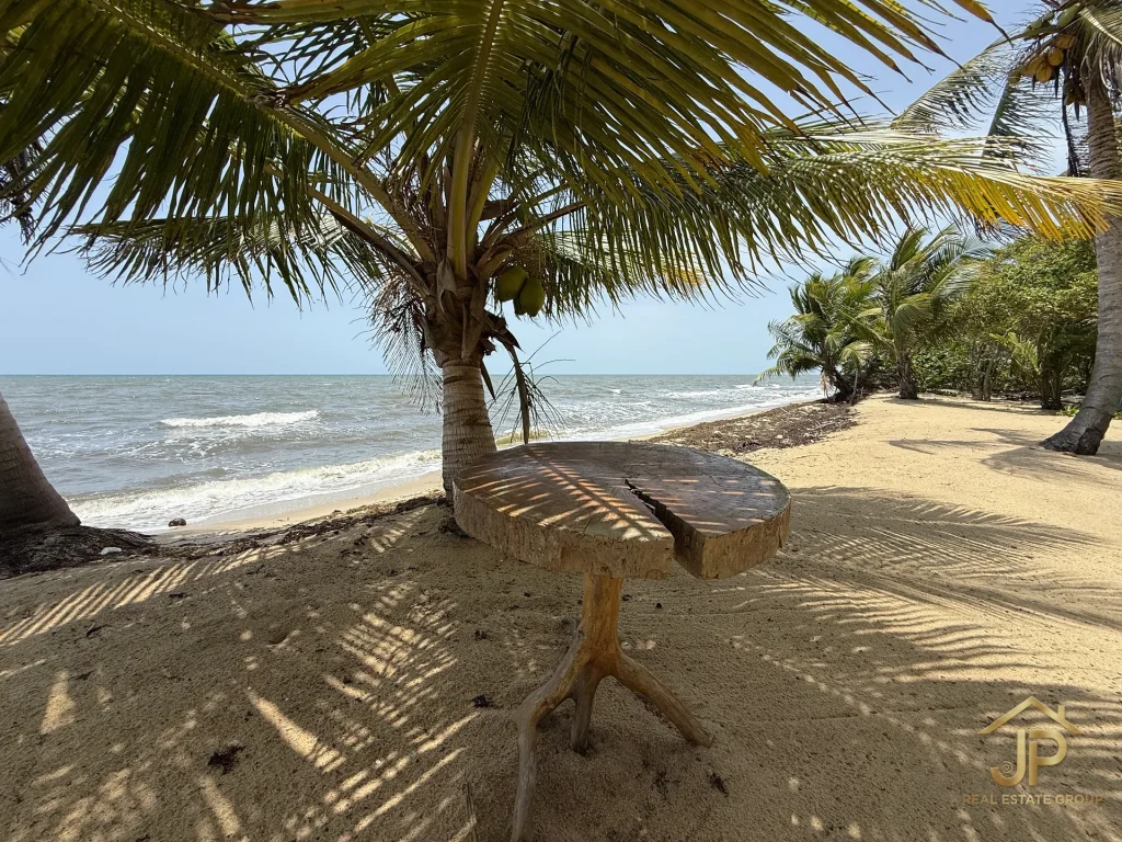 Caribbean shoreline with coconut palms and shaded seating at the property