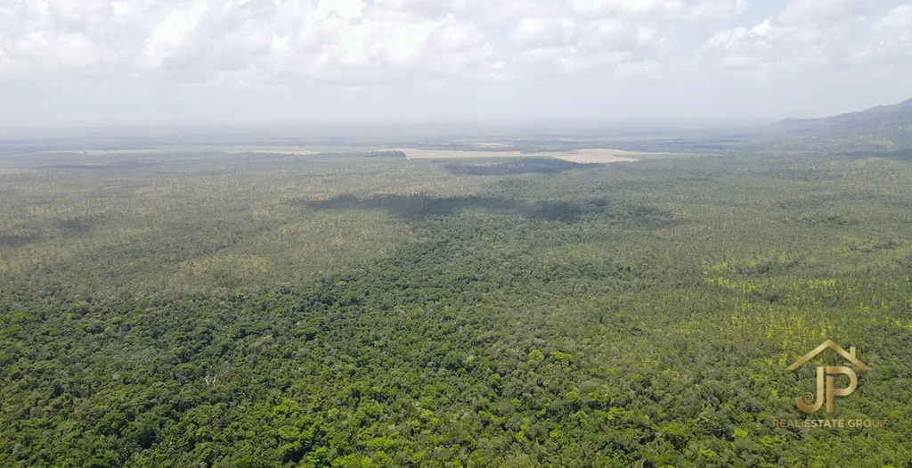 Aerial view across tropical forest and hills in the Kendall area of Stann Creek