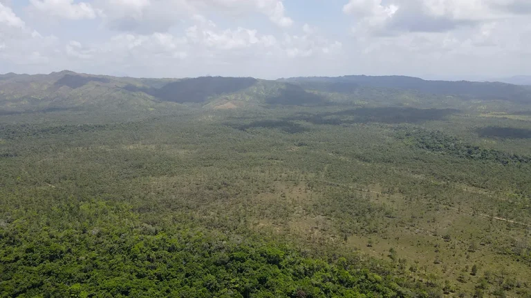 Aerial view of tropical hills and lowland near the 968-acre Kendall property in Stann Creek, Belize